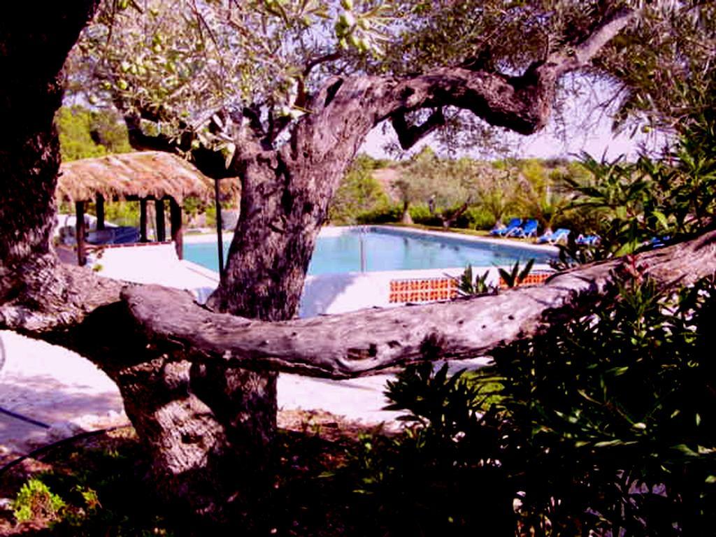 The Sea Garden Hotel & Resort L'Ampolla Exterior foto